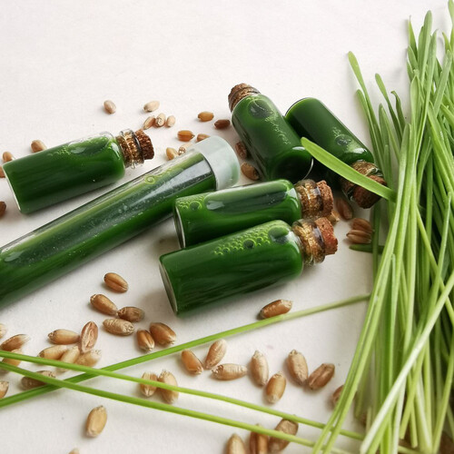 Сок ячменя (курс 30 баночек по 30мл)