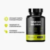 GINKGO BILOBA